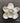 WoodUbend Set of 5 flowers WUB 347