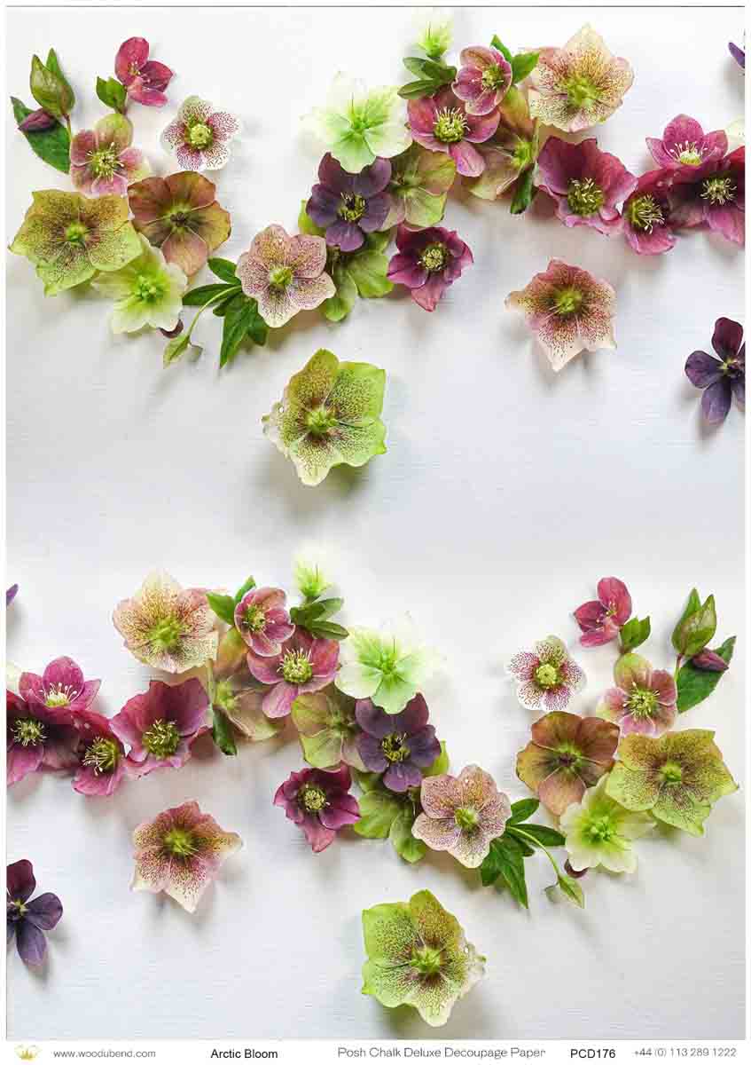 Posh Chalk Rice Paper Artic Bloom- Large PCD176 – Painting Lady Designs ...