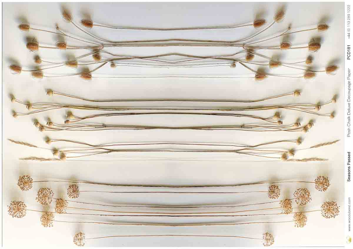 Posh Chalk Rice Paper Seasons Passed (Large) PCD181 – Painting Lady ...