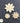 WoodUbend Set of Flowers WUB464