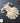 WoodUbend Set of Shell Appliques WUB6029