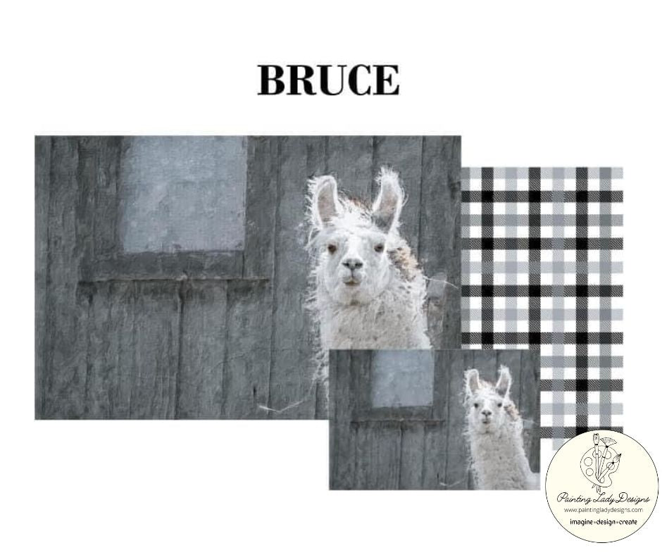 Bruce the Llama Decoupage & Mixed Media Art Paper 24x36