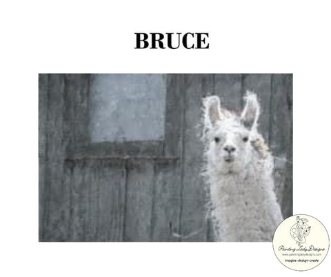 Bruce the Llama Decoupage & Mixed Media Art Paper 12x18