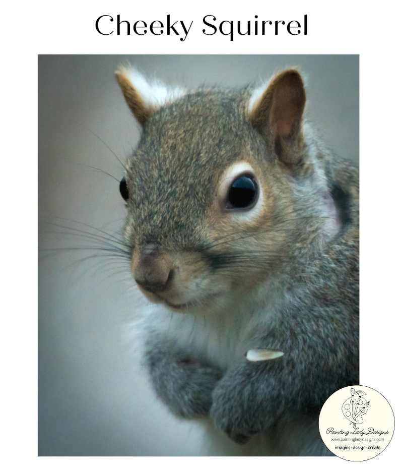 Cheeky Squirrel -  Decoupage & Mixed Media Art Paper 12x15